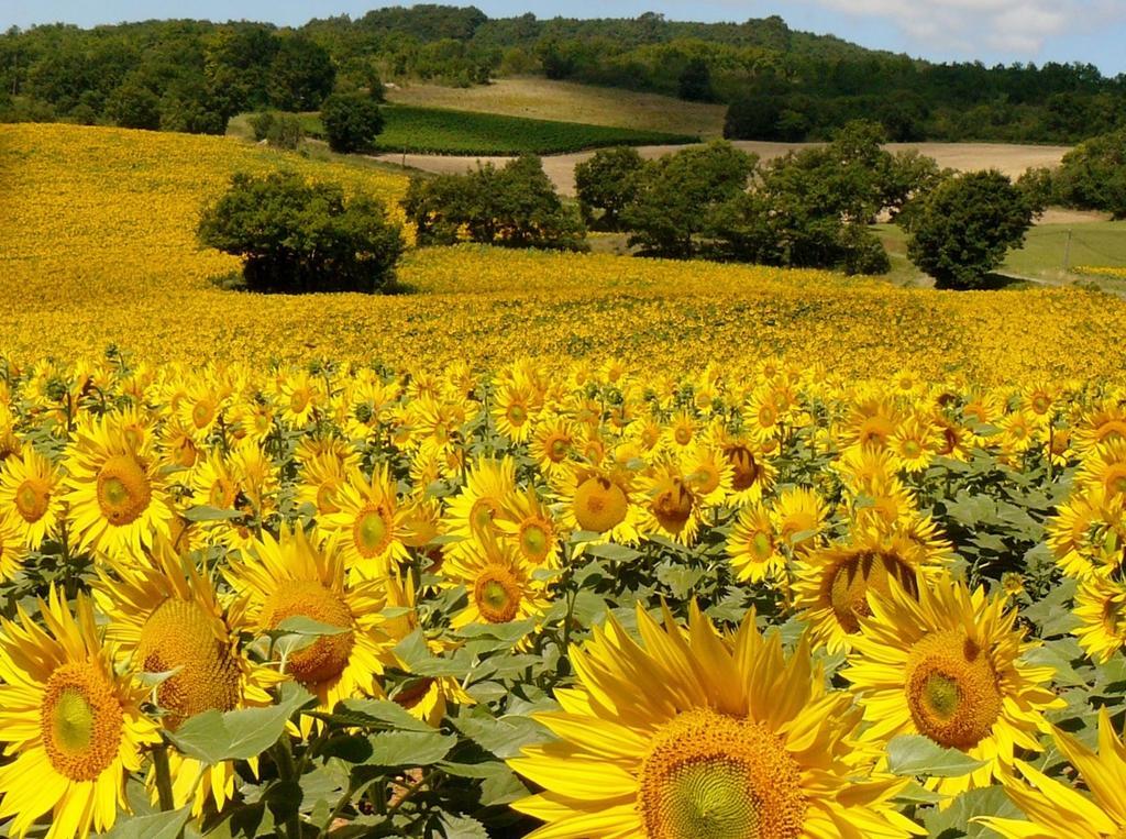 Noailles  Bastida De Beata B&B 외부 사진