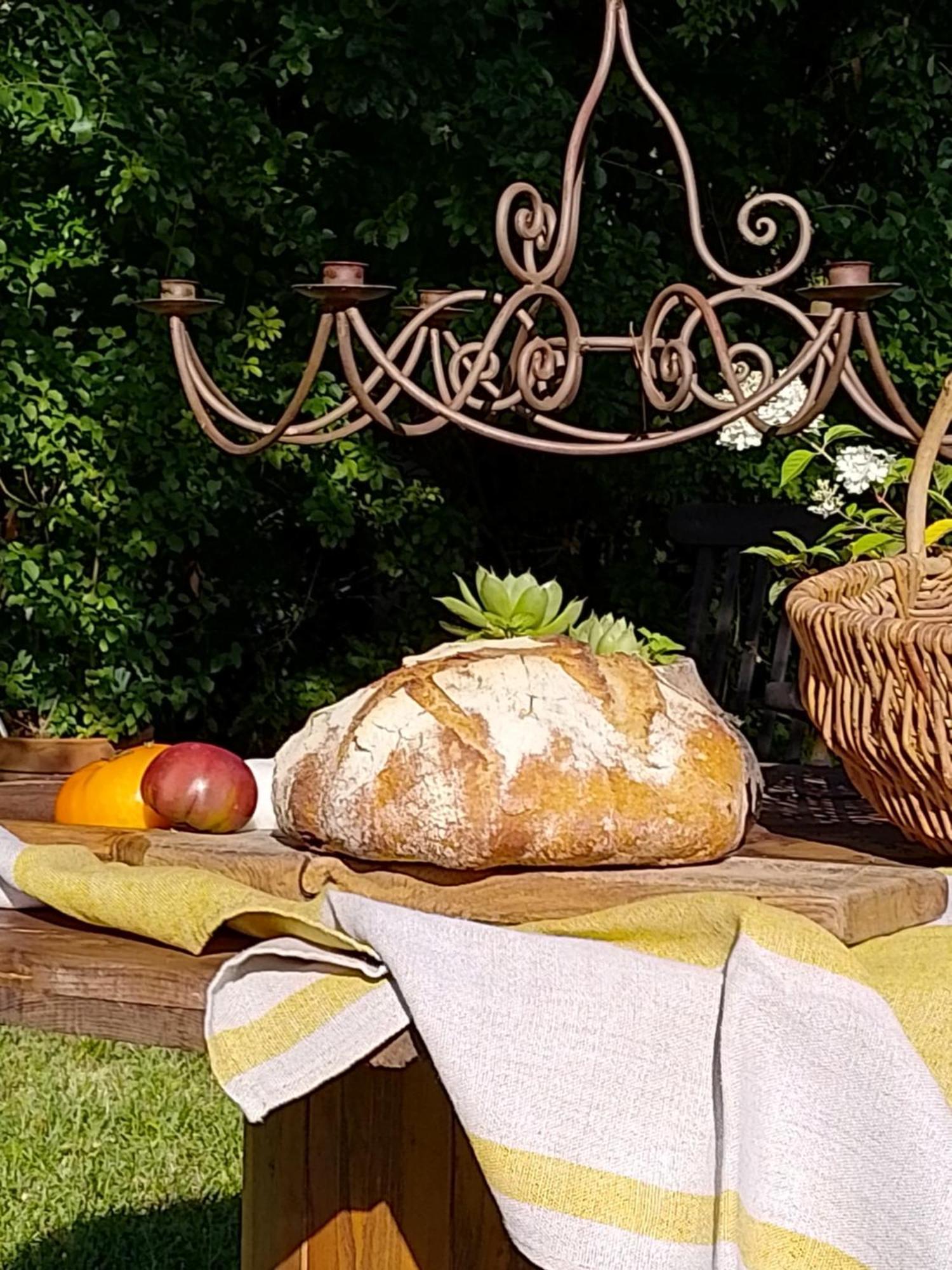 Noailles  Bastida De Beata B&B 외부 사진