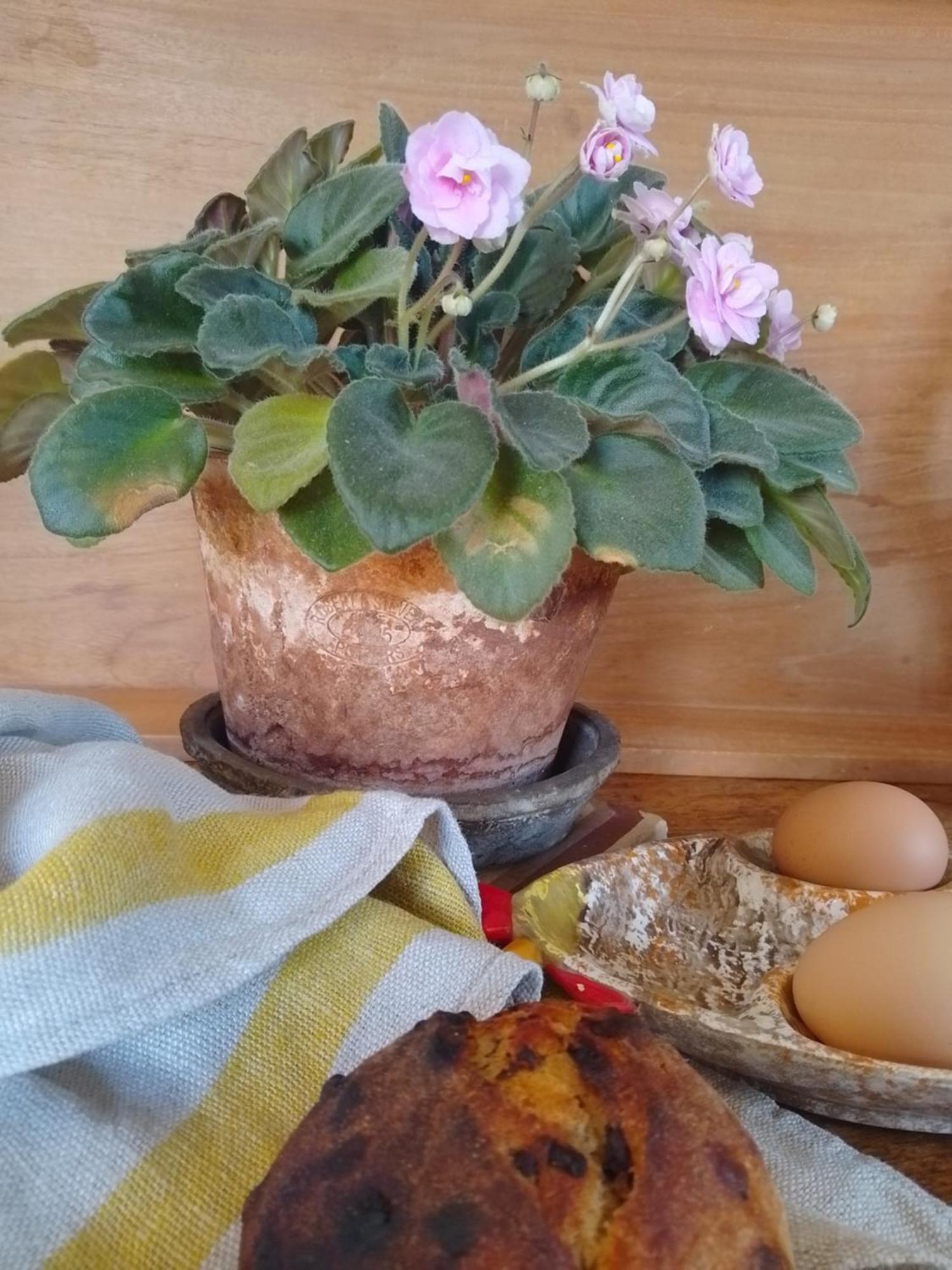 Noailles  Bastida De Beata B&B 외부 사진