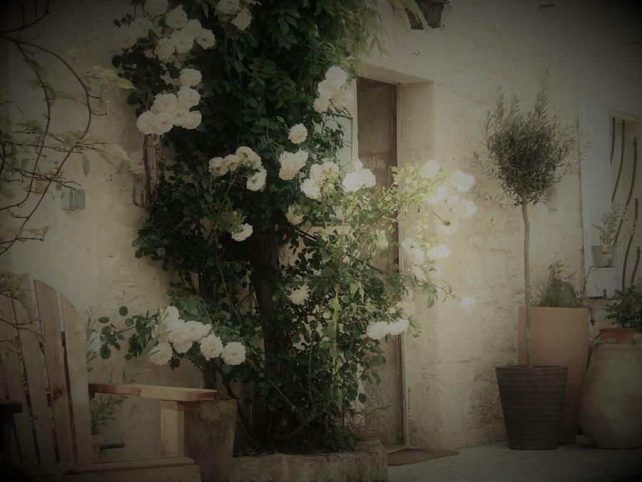 Noailles  Bastida De Beata B&B 외부 사진