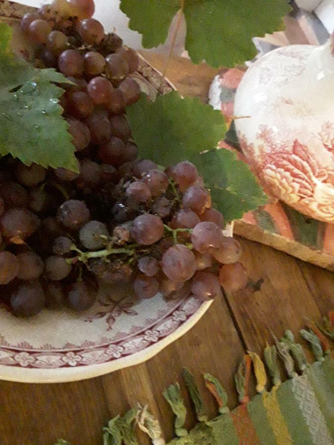 Noailles  Bastida De Beata B&B 외부 사진