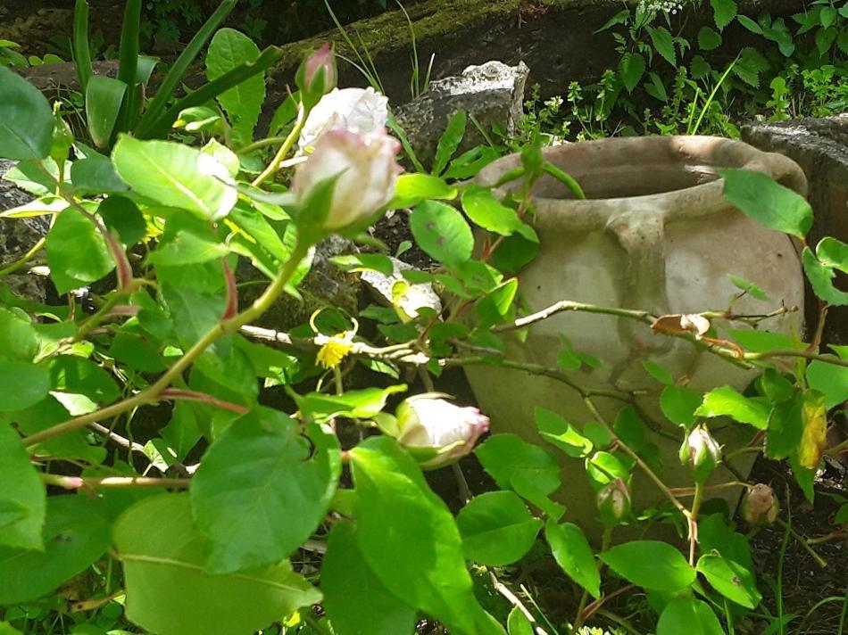 Noailles  Bastida De Beata B&B 외부 사진